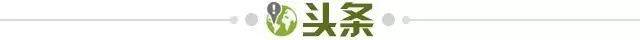 开云app官网-【早报】又是绝杀,小孩哥拯救球队! 开云app官网-【早报】又是绝杀,小孩哥拯救球队!